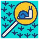 Explore snail  Icon