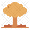 Explosion  Icon