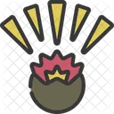 Explosion  Icon