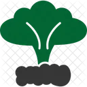 Explosion  Icon
