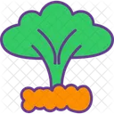 Explosion  Icon