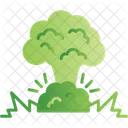 Explosion War Bomb Icon