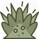 Explosion  Icon