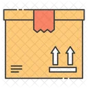 Export Package Packet Parcel Icon
