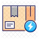 Package Delivery Express Icon