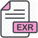 Exr  Icon