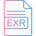 Exr  Icon
