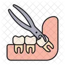 Extraccion Molar Diente Icono