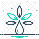 Extract Cannabis Leaf Icon