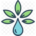Extract Cannabis Leaf Icon