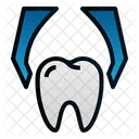 Extraction Tooth Dental Icon