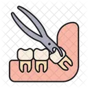 Extraction Molar Tooth Icon