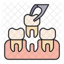 Extraction Tooth Teeth Icon