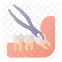Extraction Molar Tooth Icon