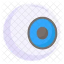 Eye Vision Eyeball Icon