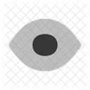 Eye Icon