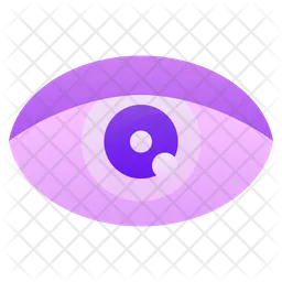 Eye  Icon