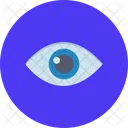 Eye Preview View Icon