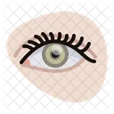 Eye Spiral Eyelashes Icon