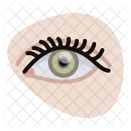 Eye  Icon