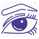 Eye Eyeball Eyebrow Icon
