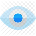 Eye Visible Retina Icon