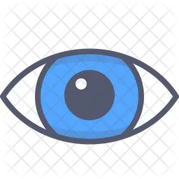 Eye  Icon