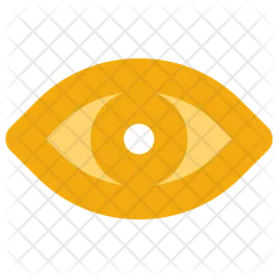 Eye  Icon