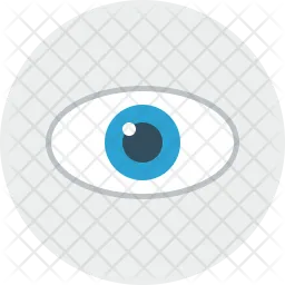 Eye  Icon