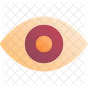 Eye Medical Human Icon