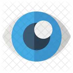 Eye  Icon