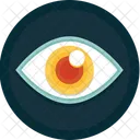 Iview Eye View Icon