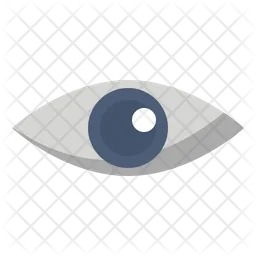 Eye  Icon