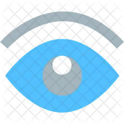 Eye  Icon