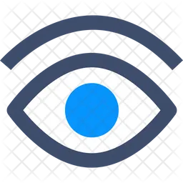 Eye  Icon