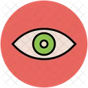 Eye Human Vision Icon