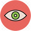 Eye  Icon