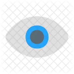 Eye  Icon