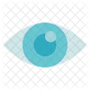 Organ Anatomy Eye Pupil Icon
