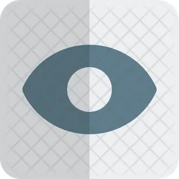 Eye  Icon