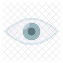 Eye Show Preview Icon