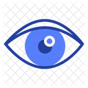 Eye Vision Pupil Icon