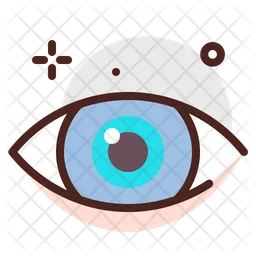 Eye  Icon