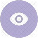 Eye Human View Icon