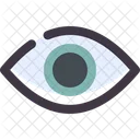 Eye Retina Visible Icon