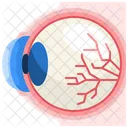 Eye Organ Body Part Icon
