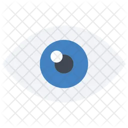 Eye  Icon