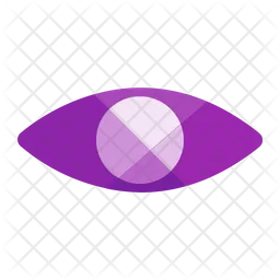 Eye  Icon