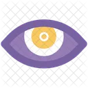 Eye Human View Icon