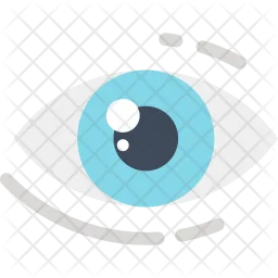 Eye  Icon